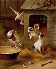 Pigeons And Puppies by Edgar Hunt